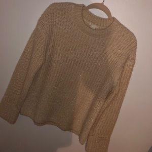 H&M Glittery Sweater